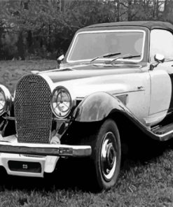 Panther De Ville Car Paint By Numbers