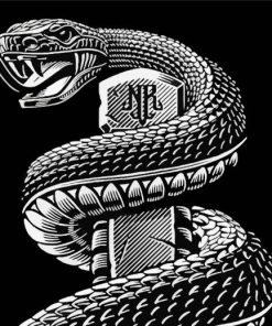 Black And White Rattlesnake Paint By Numbers