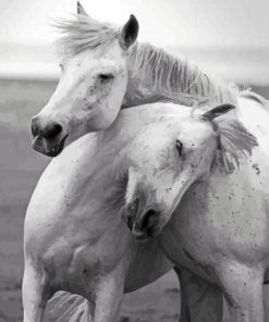 Horses in Love Black and White Paint By Numbers