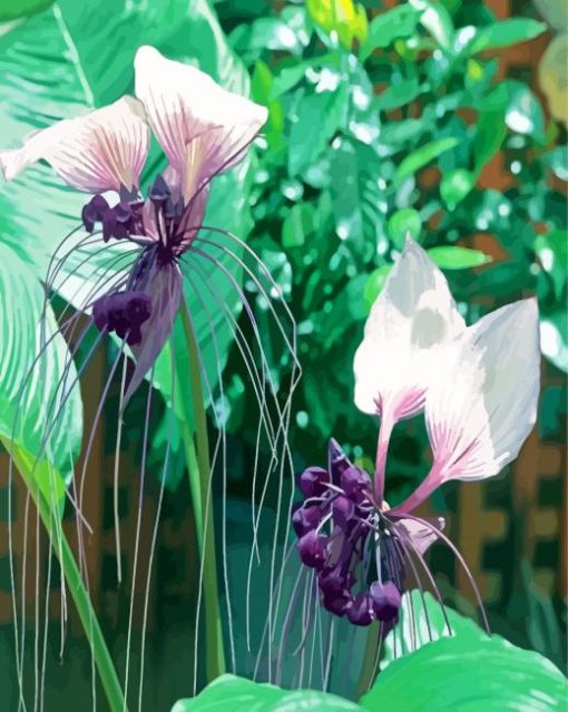 Black-Bat-flowering-plants-paint-by-number