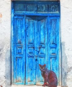 Black Cat Blue Doors Paint By Numbers