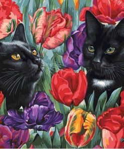 Black Cats Tulips Paint By Numbers