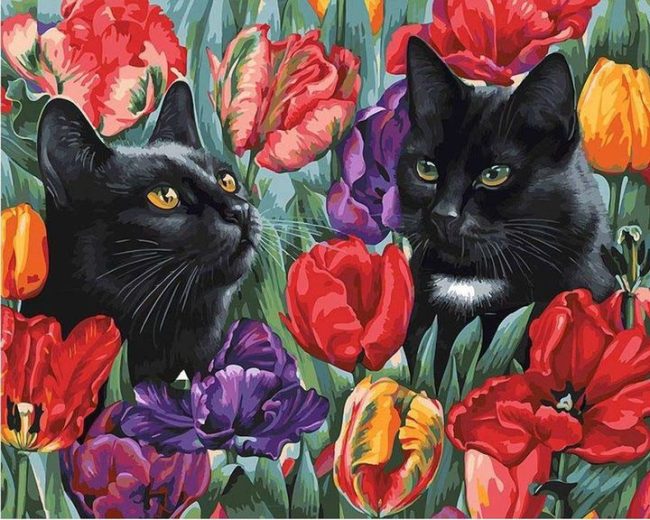 Black Cats Tulips Paint By Numbers