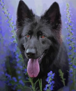 Black German Shepherd Lavender Paint By Numbers