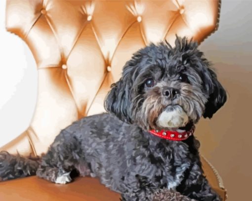 Black-Maltese-Dog-paint-by-numbers