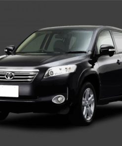 Black Vanguard Car Paint By Numbers