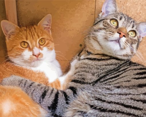 Black-and-orange-tabby-cats-paint-by-numbers
