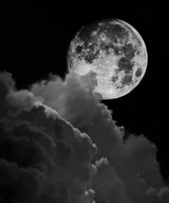 Black Full Moon Landscape Paint By Numbers