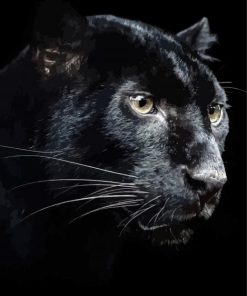Black Panther Animal Art Paint By Numbers