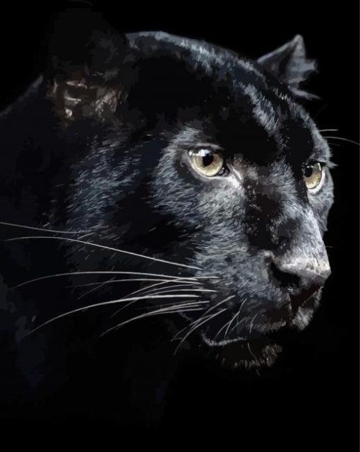 Black-and-white-panther-face-paint-by-number