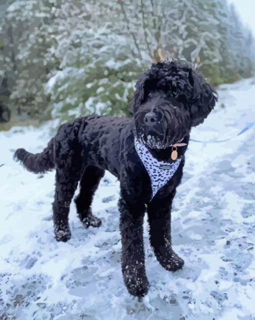 Black-goldendoodle-in-snow-paint-by-number