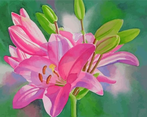 Blooming-Pink-Lilies-paint-by-numbers