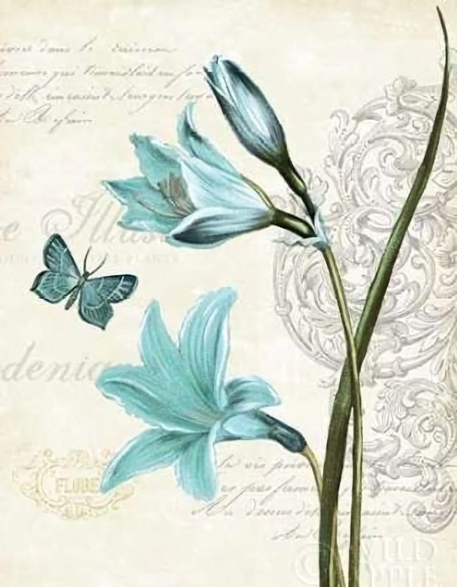 Blue Butterfly Floral Picture Paint By Numbers