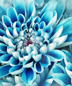Blue Dahlia Floral Art Paint By Numbers