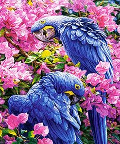 Bougainvillea Parrots Paint By Numbers
