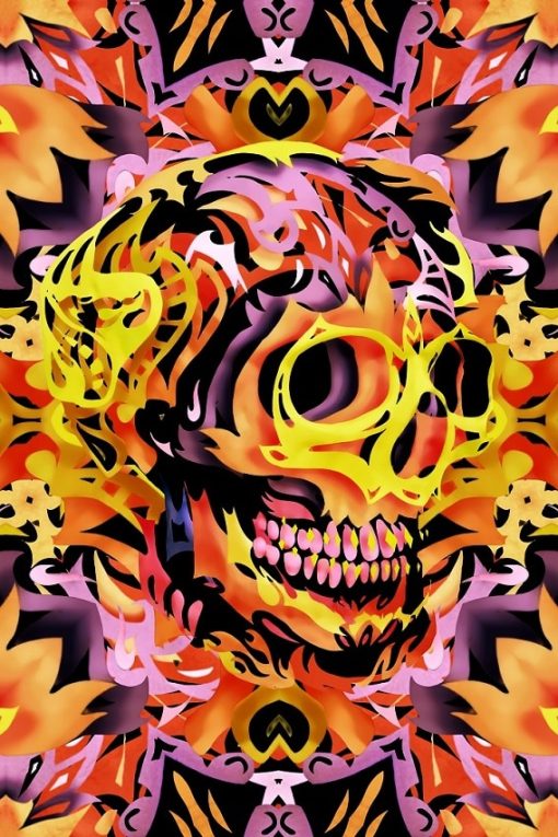 Bohemian-Skull-DIY-Abstract-Paint-By-Numbers-PBN-24540