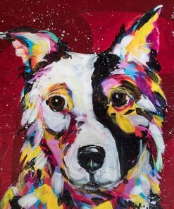 Border Collie Animal Paint By Numbers