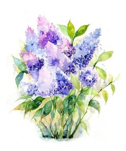 Blue Roses Paint By Numbers