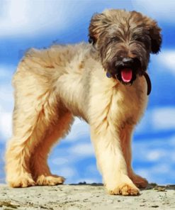 Briard Puppy Dog Paint By Numbers