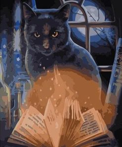 Witch Cat Picture Paint By Numbers