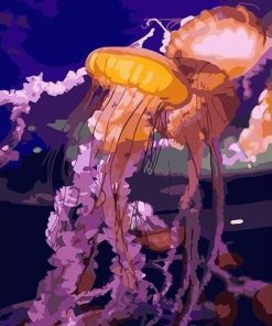 Jellyfish Animals Paint By Numbers