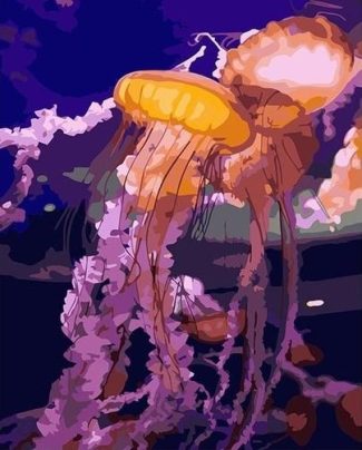 Jellyfish Animals Paint By Numbers