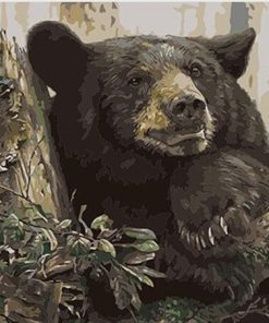Black Bear Forest Scene Paint By Numbers