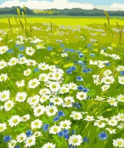 White Daisy Field Paint By Numbers