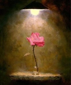 Pink Rose in Bloom Paint By Numbers