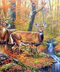 Mule Deer Wildlife Paint By Numbers