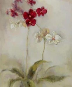 Red and White Flower Masterpiece Paint By Numbers
