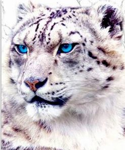 Blue Eyed Tiger Animals Paint By Numbers