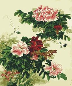 Chinese Peony Floral Paint By Numbers