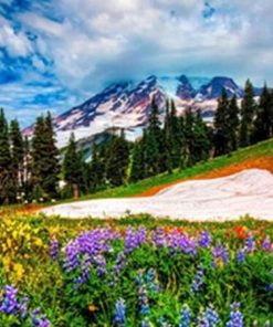 Spring Landscape Beauty Paint By Numbers