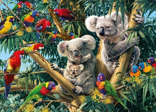 Koalas and Birds Paint By Numbers