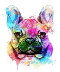 Colorful French Bulldog Paint By Numbers