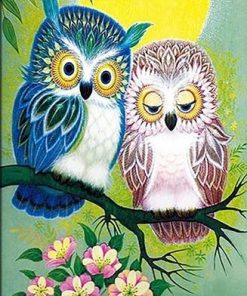 Owl Couple Bird Picture Paint By Numbers
