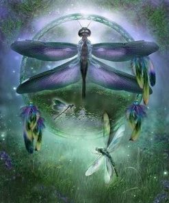 Dragonfly Dream Paint By Numbers