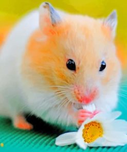 Hamster with Flowers Paint By Numbers