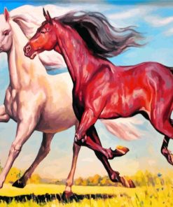 Brown and White Horse Paint By Numbers