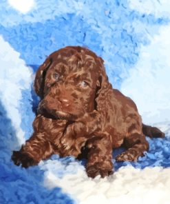 Brown Cockapoo Dog Paint By Numbers