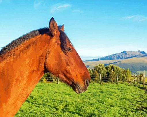 Brown-mare-horse-side-profile-paint-by-number