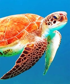Brown Sea Turtle Painting Kit Paint By Numbers