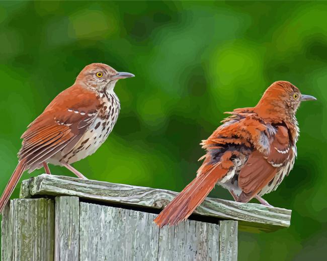 Finalizing the Brown Thrasher Bird Paint By Numbers artwork
