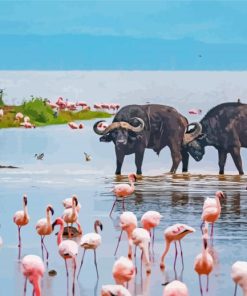 Buffalo and Flamingo Safari Paint By Numbers