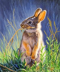 Bunny Rabbit Wildlife Paint By Numbers