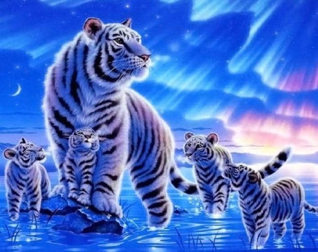 White Tiger Night Paint By Numbers