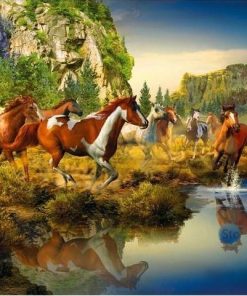 Wild Horses Paint By Numbers