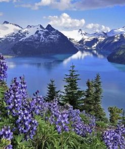 Lupine Mountain Scenery Paint By Numbers