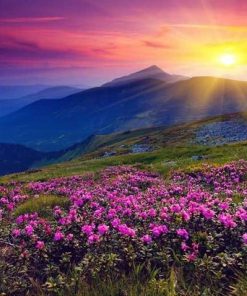 Purple Mountain Scenery Paint By Numbers